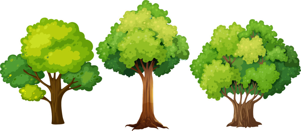 Trees (clipart)

<a href="https://www.freepik.com/free-vector/set-different-tree-design_3875712.htm#fromView=search&page=1&position=30&uuid=73166179-2bd1-4139-8430-b85f2b04bcba">Image by brgfx on Freepik</a>